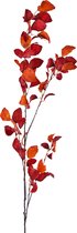 Greenmoods Plantes artificielles - Plante artificielle - Branche artificielle - Beuk rouge - Soie - 156 cm