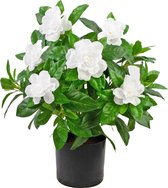 Greenmoods Kunstplanten - Kunstplant - Gardenia - Wit - Zijde - 39 cm