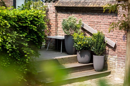 Drie grijs gestreepte, bolvormige bloempotten met planten op een stenen trap.