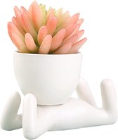 Keramische vetplantenpot, sappige cactus bloempot, Nordic Design bloempot, creatieve kleine bloempotten, voor binnen en buiten, voor tuin, kantoor, bureaudecoratie (wit)