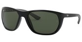 Ray-Ban RB4307 601/71 Glasdiameter: 61