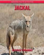 Jackal