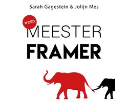 Omslag van Word meesterframer