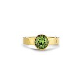 Melano Twisted Green phylosophy ring set - goudkleurig - dames - maat 62