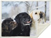 Sherpa plaid 150x200 cm 3 DOGS - 100% polyester