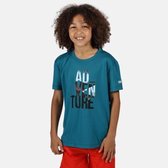 Regatta - Kid's Alvardo V Graphic T-Shirt - Outdoorshirt - Kinderen - Maat 14 Jaar - Blauw