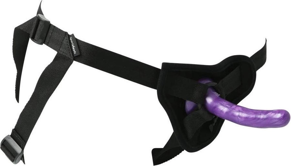 Goedkoopste Sportsheets strap-on & dildo set
