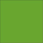 Plakfolie - Oracal - Lime Groen – Mat – 126 cm x 50 m - Meubelfolie - Interieurfolie - Zelfklevend