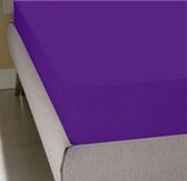 Homee Hoeslaken Jersey stretch paars 190/200x200/220 + 35cm Lits-jumeaux bed 100% Katoen