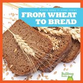 Where Does It Come From?- From Wheat to Bread