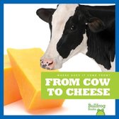 Where Does It Come From?- From Cow to Cheese