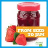 Where Does It Come From?- From Seed to Jam