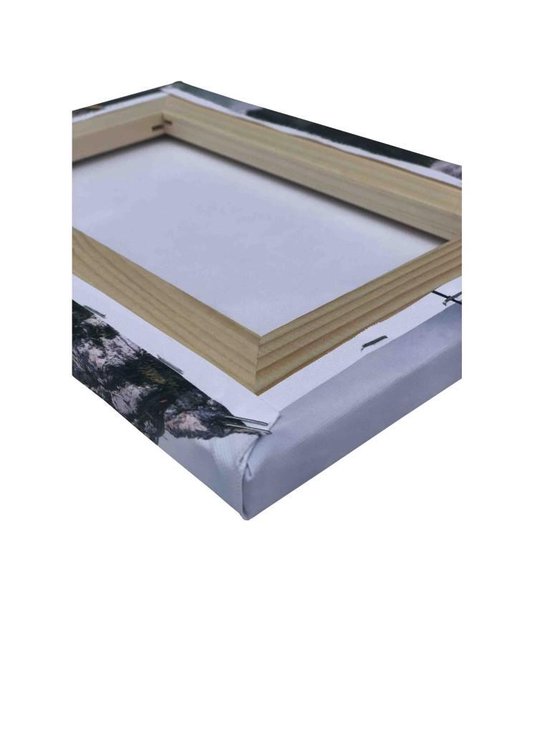 Aigle sur toile | Debout 60 x 90 cm | Peintures animalières | Décoration murale de qualité | Bateleur Eagle sur Canvasdoek