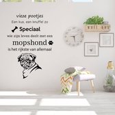 Muursticker Mopshond -  Oranje -  60 x 84 cm  -  woonkamer  nederlandse teksten   - Muursticker4Sale