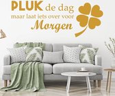 Muursticker Pluk De Dag Maar Laat Iets Over Voor Morgen -  Goud -  160 x 61 cm  -  slaapkamer  nederlandse teksten  woonkamer  alle - Muursticker4Sale