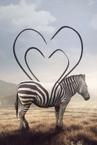 Heart Striped Zebra op Geborsteld Aluminium - WallCatcher | Staand 100 x 150 cm | Zebra