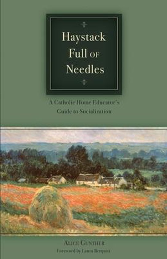 Haystack Full of Needles - cover
