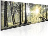Schilderijen Op Canvas - Schilderij - Morning Forest 150x50 - Artgeist Schilderij