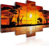 Schilderijen Op Canvas - Schilderij - Hot Safari 100x50 - Artgeist Schilderij