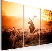 Schilderijen Op Canvas - Schilderij - Deer in the Sun I 90x60 - Artgeist Schilderij