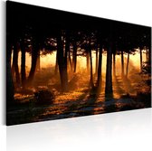 Schilderijen Op Canvas - Schilderij - Forest Dawn 90x60 - Artgeist Schilderij