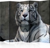 Kamerscherm - Scheidingswand - Vouwscherm - Bengali tiger in zoo II [Room Dividers] 225x172 - Artgeist Vouwscherm