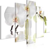 Schilderijen Op Canvas - Schilderij - Wonderful Orchid (5 Parts) Wide 200x100 - Artgeist Schilderij