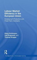 Routledge Studies in the European Economy- Labour Market Efficiency in the European Union