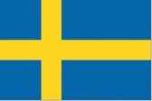 Zweedse vlag 50x75cm - Spunpoly