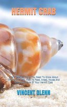Hermit Crab