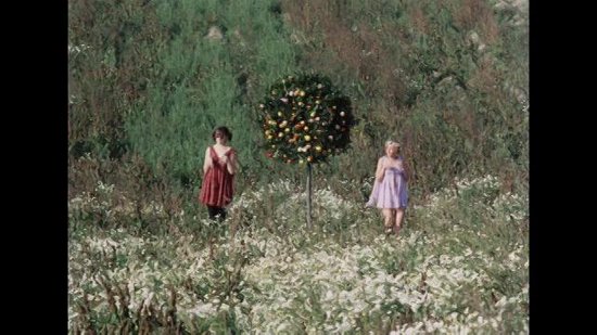 Sedmikrasky (DVD)