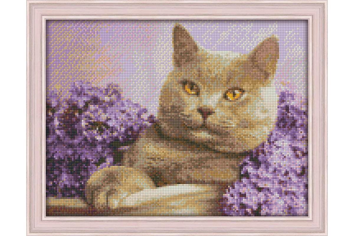 Poes in lila 40x 30 cm