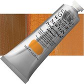 Winsor & Newton Artists Acrylic Tube - Raw Sienna (552) 60 ml