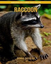 Raccoon
