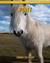 Pony