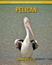 Pelican