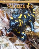 Salamander