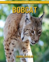 Bobcat