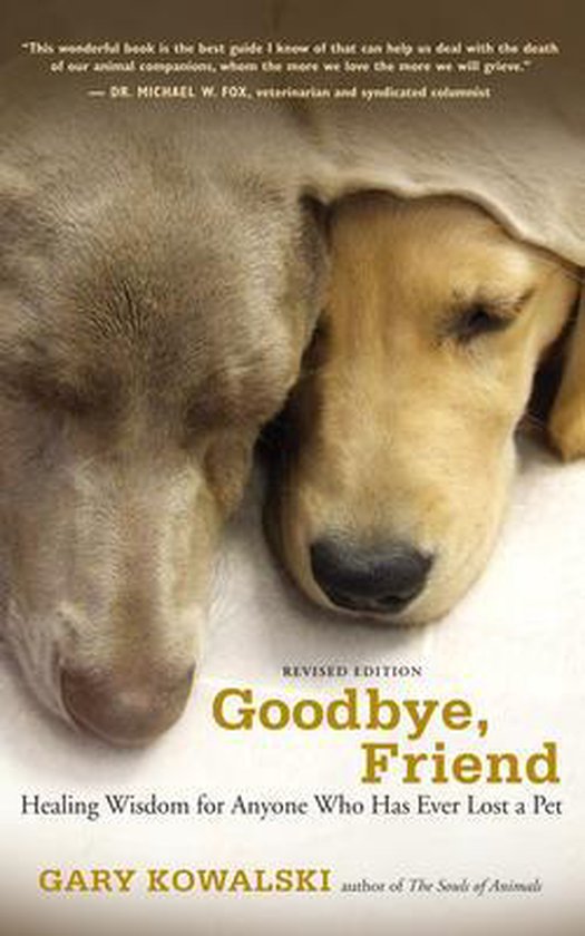 Goodbye, Friend - cover
