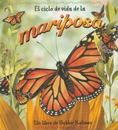 El Ciclo De Vida De La Mariposa / Life Cycle of a Butterfly