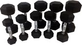 Dumbbellset 12,5KG | Set van 2 stuks