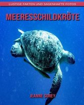 Meeresschildkroete