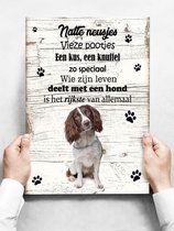 Wandbord hond: Engelse Springer Spaniel - 30 x 42 cm