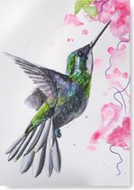 Kunst Poster - Vogels - Kolibrie - A4 Formaat - Kunst aan de muur