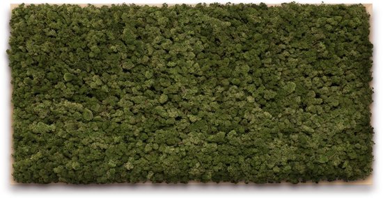 Mosschilderij 120cm x 60cm - rendiermos kleur: Moss Green - lijst: blank hout