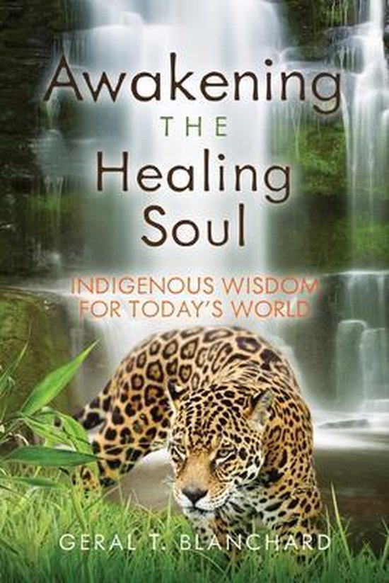 Awakening the Healing Soul - cover