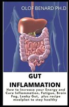 Gut Inflammation