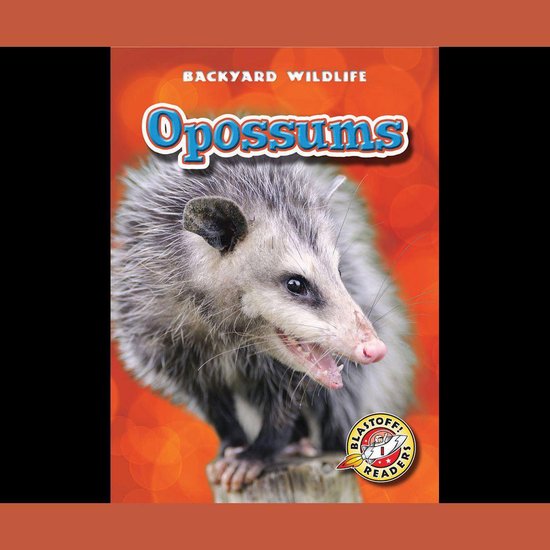 Opossums - cover