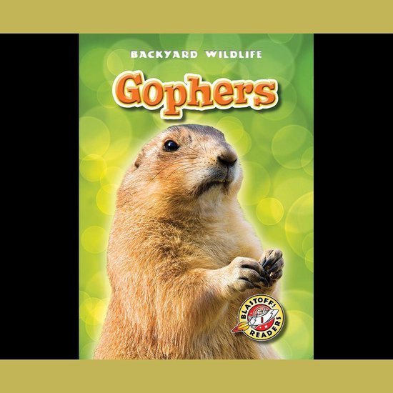 Gophers - cover
