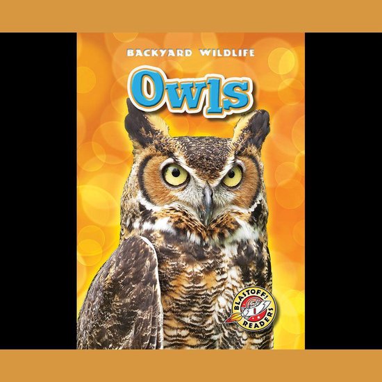 Owls - cover